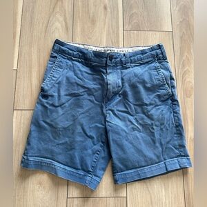 American Eagle Outfitters Blue Flat Front Men Shorts